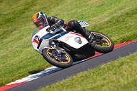 Vintage-motorcycle-club;eventdigitalimages;mallory-park;mallory-park-trackday-photographs;no-limits-trackdays;peter-wileman-photography;trackday-digital-images;trackday-photos;vmcc-festival-1000-bikes-photographs